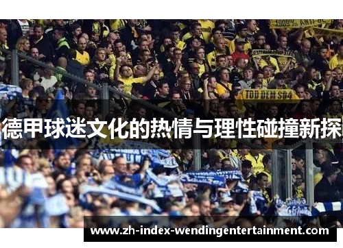 德甲球迷文化的热情与理性碰撞新探